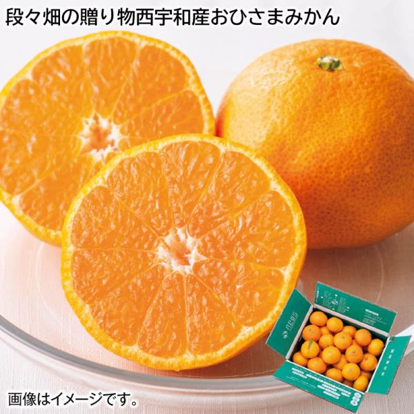 お歳暮 2024 早割 段々畑の贈り物西宇和産おひさまみかん : 郵便局物販