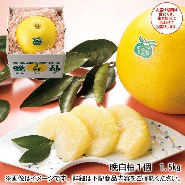 晩白柚 : 郵便局物販サービスYahoo!店 - 通販 - Yahoo!ショッピング