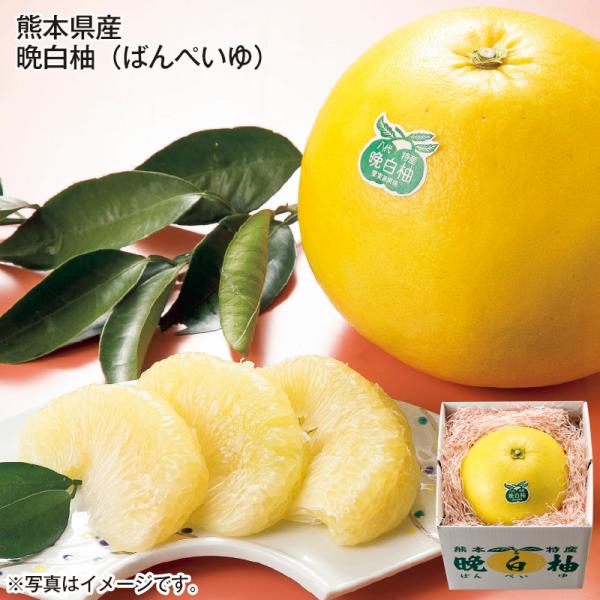 熊本県産 晩白柚 : 郵便局物販サービスYahoo!店 - 通販 - Yahoo