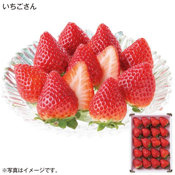 いちごさん : 郵便局物販サービスYahoo!店 - 通販 - Yahoo!ショッピング