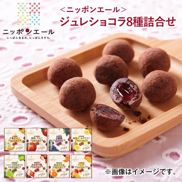 バレンタイン2025 ＜ニッポンエール＞ジュレショコラ8種詰合せ 送料