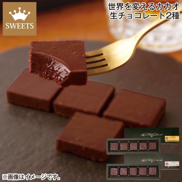 バレンタイン 2026 チョコ 世界を変えるカカオ 生チョコレート2種