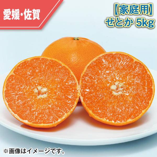 家庭用】せとか5kg : 郵便局物販サービスYahoo!店 - 通販 - Yahoo