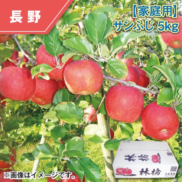 家庭用】サンふじ5kg : 郵便局物販サービスYahoo!店 - 通販 - Yahoo