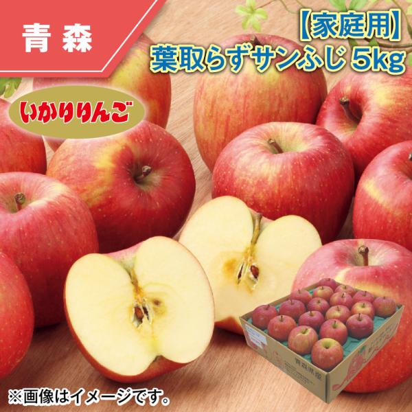 家庭用】葉とらずサンふじ 5kg : 郵便局物販サービスYahoo!店