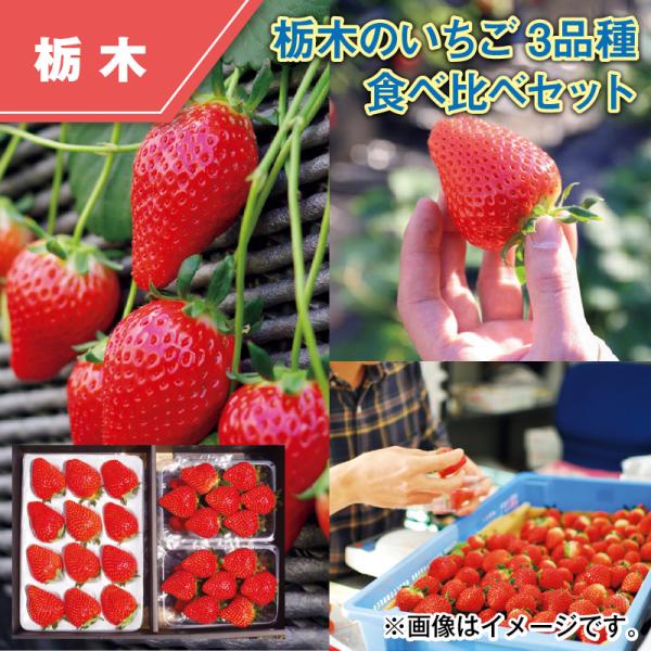 栃木のいちご3品種 食べ比べセット : 郵便局物販サービスYahoo!店