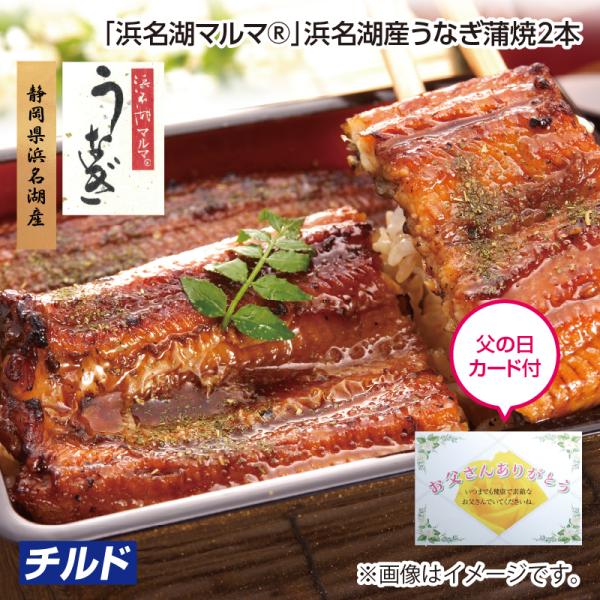 父の日 2026 早割 「浜名湖マルマ（R）」浜名湖産うなぎ蒲焼2本