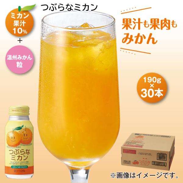 ふーみ商品 jpts_6168210915