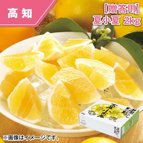 【贈答用】夏小夏　２ｋｇ