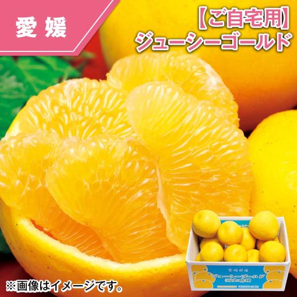 【ご自宅用】ジューシーゴールド