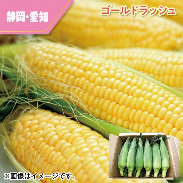 ゴールドラッシュ : 郵便局物販サービスYahoo!店 - 通販 - Yahoo