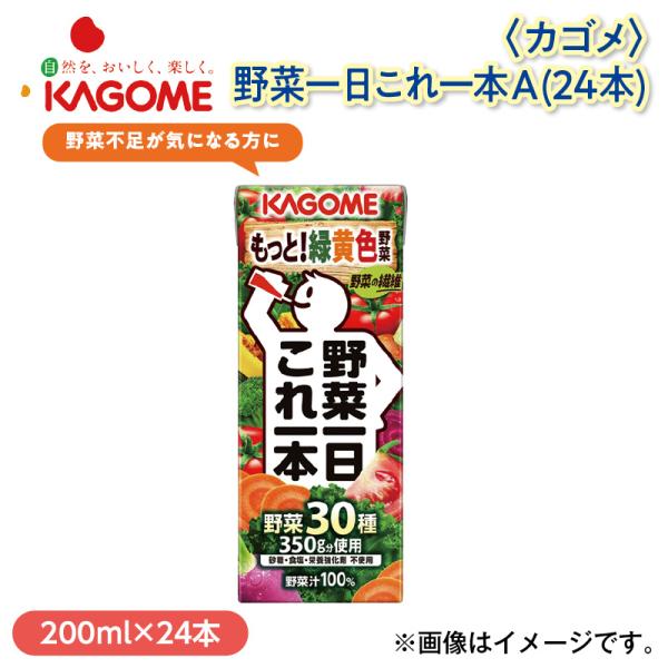 爆買 ＜カゴメ＞野菜一日これ一本Ａ（２４本）