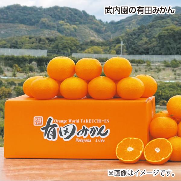 武内園の有田みかん
