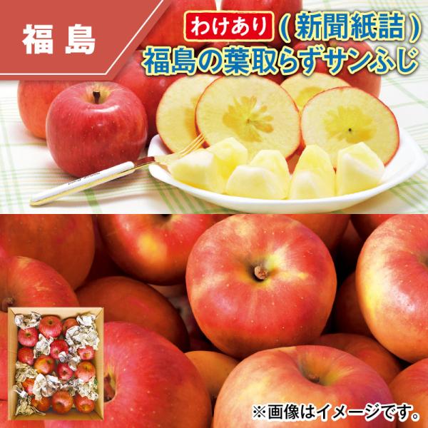 わけあり（新聞紙詰）福島の葉取らずサンふじ