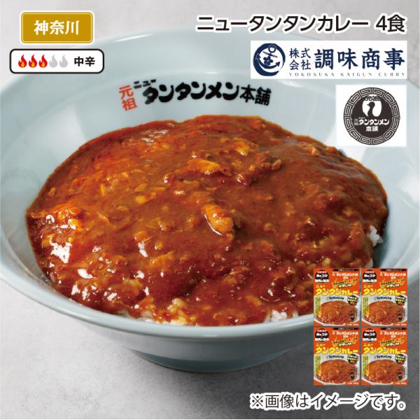 爆買 ニュータンタンカレー　Ｂ（４食）