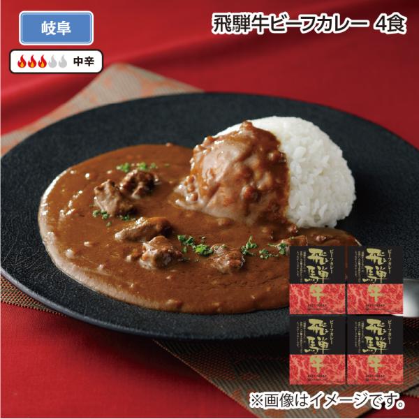 爆買 飛騨牛ビーフカレー　Ｂ（４食）