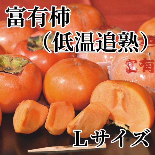 �x�L�`�i�ቷ�Ǐn�j�k�T�C�Y ���i�摜