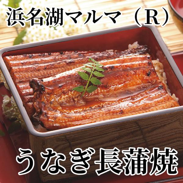 爆買 浜名湖マルマ（Ｒ）うなぎ長蒲焼