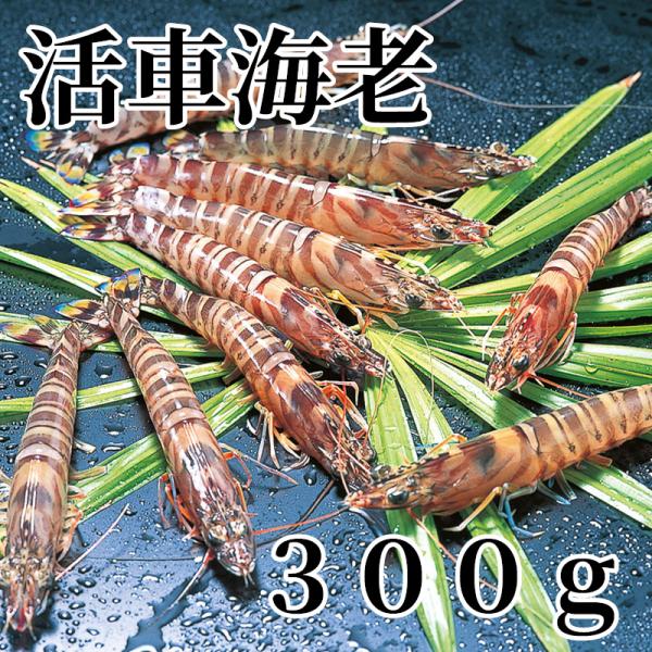 活車海老　３００ｇ