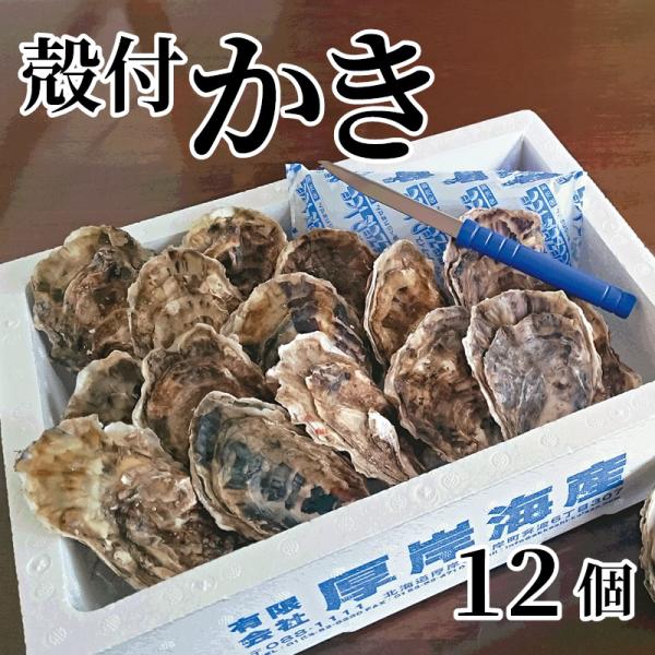 殻付かき　１２個