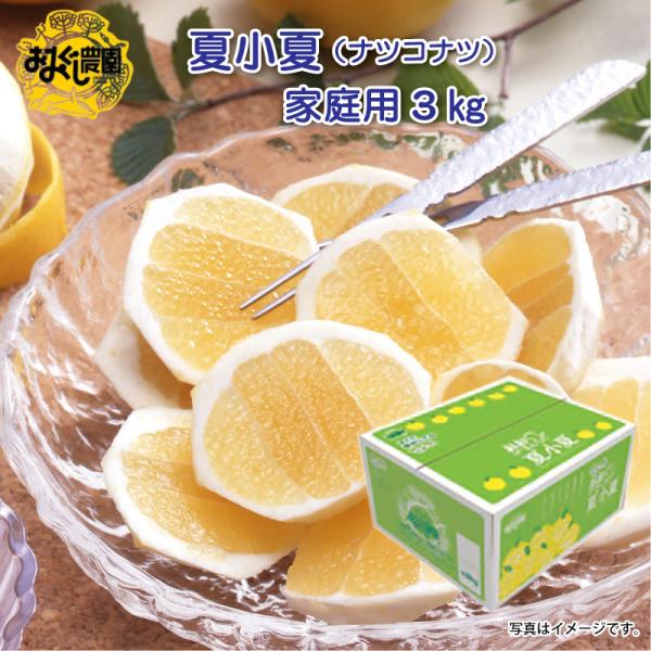 夏小夏（ナツコナツ）家庭用３ｋｇ
