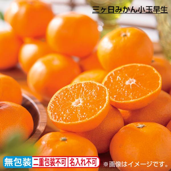 お歳暮 2026 三ヶ日みかん小玉早生