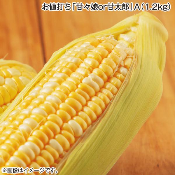お値打ち「甘々娘ｏｒ甘太郎」Ａ（１．２ｋｇ）