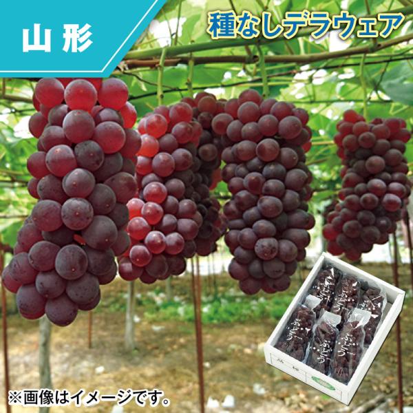 種なしデラウェア