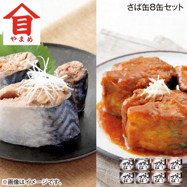 さば缶８缶セット