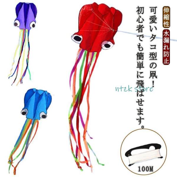 F　80*400cm　凧糸：100M