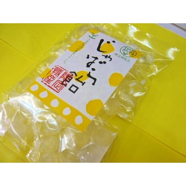 じゃばら飴 北山村のじゃばら飴が本家 北山村じゃばらあめ和歌山県のケンミショーの飴 花粉症 アレルギー対策品でｔｖ雑誌で有名 Buyee Buyee 日本の通販商品 オークションの代理入札 代理購入