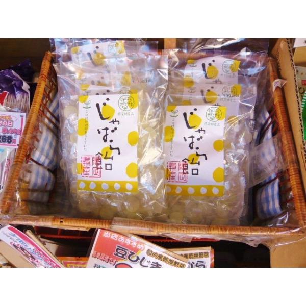 じゃばら飴 北山村のじゃばら飴が本家 北山村じゃばらあめ和歌山県のケンミショーの飴 花粉症 アレルギー対策品でｔｖ雑誌で有名 Buyee Buyee 日本の通販商品 オークションの代理入札 代理購入