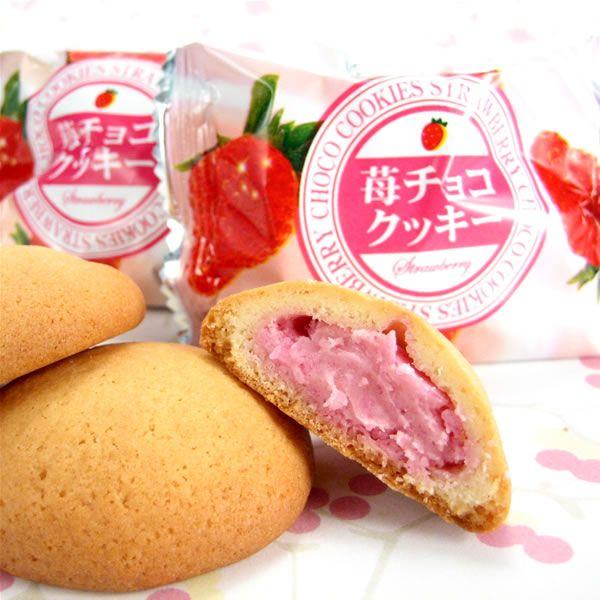 B Mtg 2025@Y ܂䕎gpق ܂䕃`RNbL[ 20    퉷