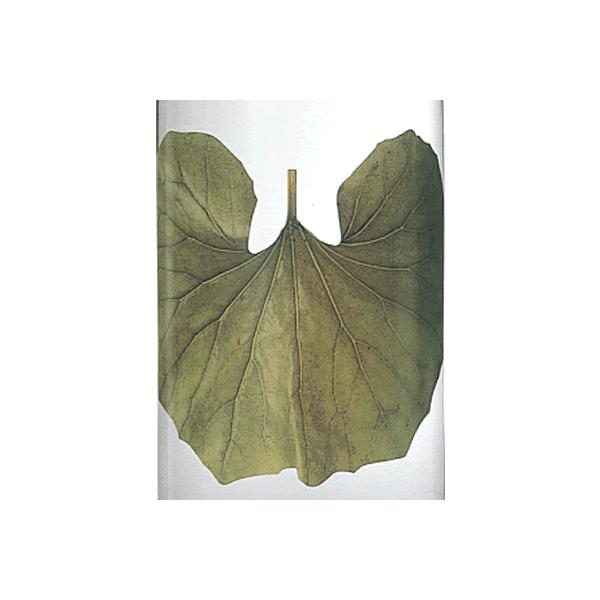 B Mtg 2025@ܖo {iĒ Ԃ䎟Y 25x 1800ml  퉷