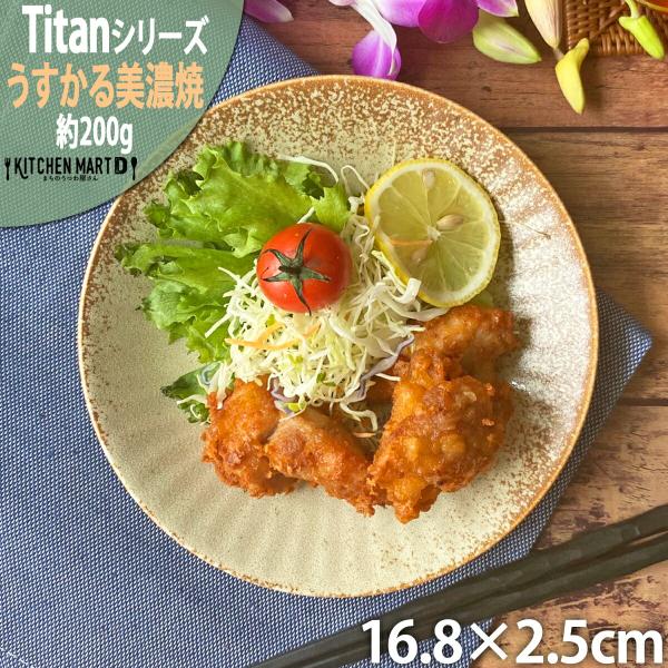 タイタン うすかる 16.8cm 丸皿 プレート 50皿 約200g 丸 丸型 皿 パスタ皿 カレー皿 サラダ 美濃焼 国産 日本製 陶器 軽量 軽い 食洗機対応 ラッピング不可