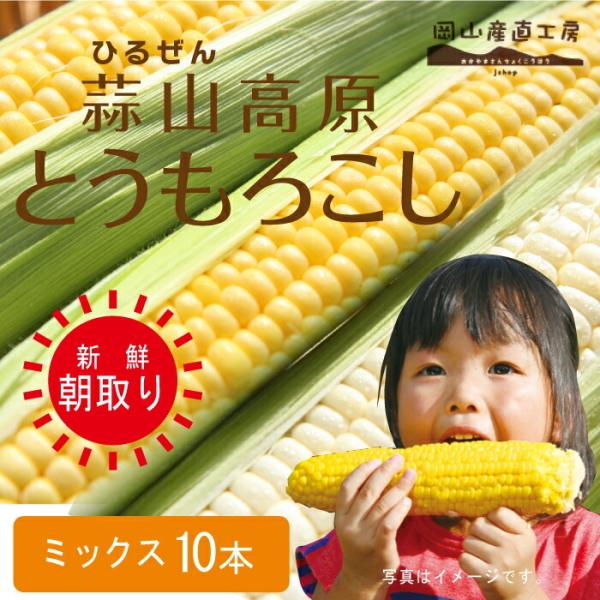 【早期予約受付中・7月下旬以降発送予定】とうもろこし ミックス10本 蒜山高原 トウモロコシ 黄白ミックス 送料無料 夏野菜