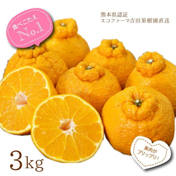 【4月中旬以降発送】デコポン 送料無料 味濃い でこ姫 約3kg 9玉前後不知火 でこぽん 柑橘 熊本三角直送 吉田果樹園