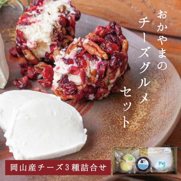 おかやまのチーズグルメセット さーちゃんミニヤギ牧場 ギフト 贈り物 お中元 送料無料