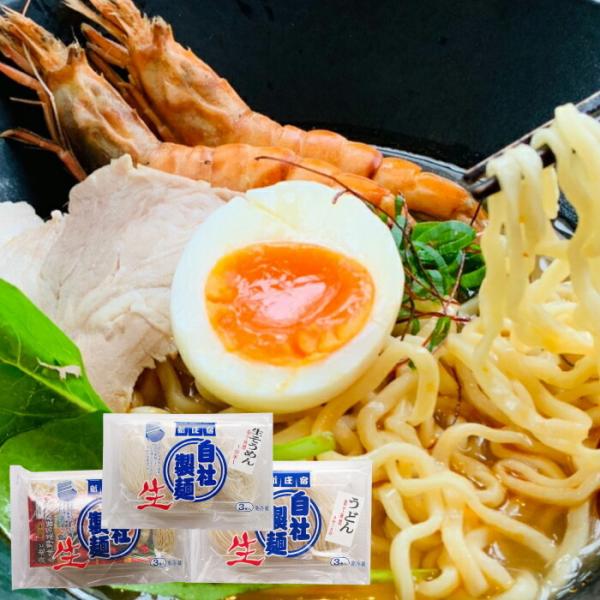 ひめのもち生麺セット 生そうめん 生うどん 生ラーメン各3食入り 冷蔵