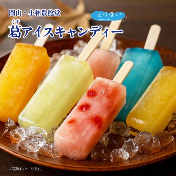 葛アイスキャンディー 6本セット 8本セット 選べるセット