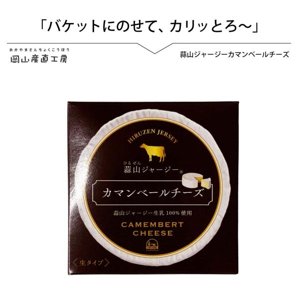 国産チーズ コクとまろやかなカマンベールチーズ125ｇ 箱あり