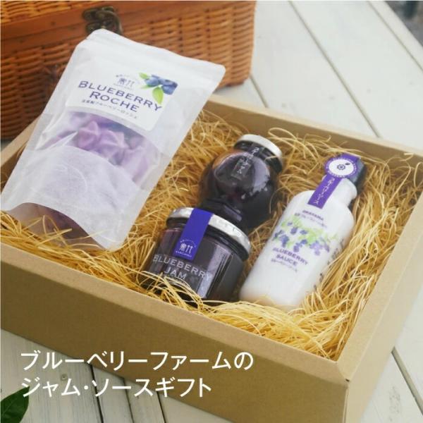 ブルーベリー商品4点 洗双糖ジャムセット ギフト 贈り物 プレゼント 送料無料