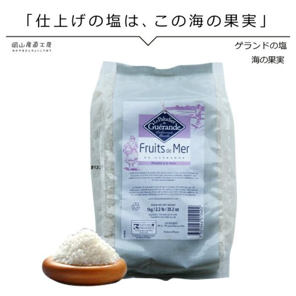 ゲランドの塩 海の果実 1kg アクアメール 海塩 フランス
