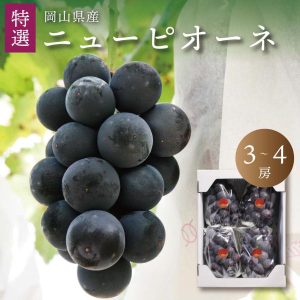 岡山ぶどう ピオーネ 特選 ニューピオーネ 3〜4房 送料無料 岡山ぶどう 2kg以上