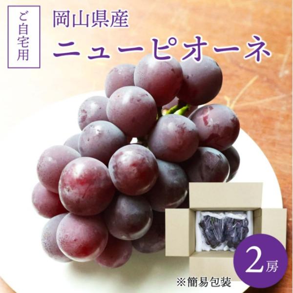 ニューピオーネ 訳あり ご自宅用 2房 送料無料 岡山ぶどう 皮付き 北海道沖縄一部地域配送不可