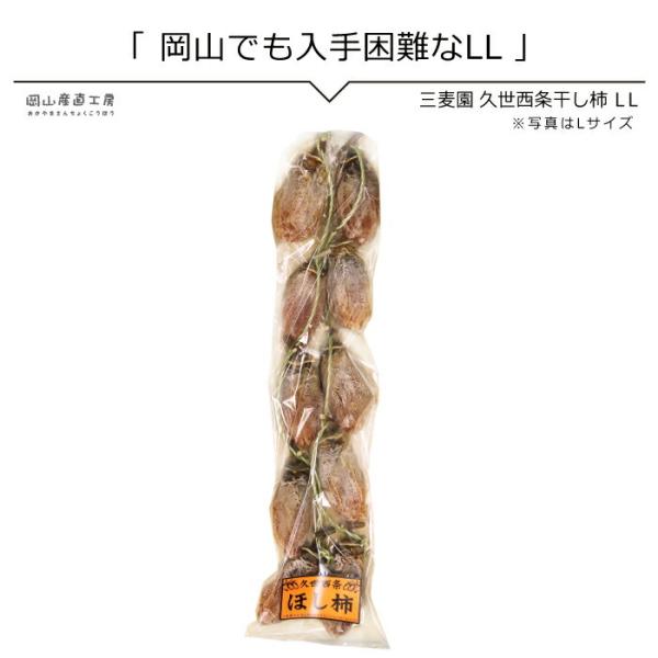 y12{ȍ~\z邵`10 LLTCY v `  ` ݂邵 hCt[c R^Y  O i 蕨 i aَq