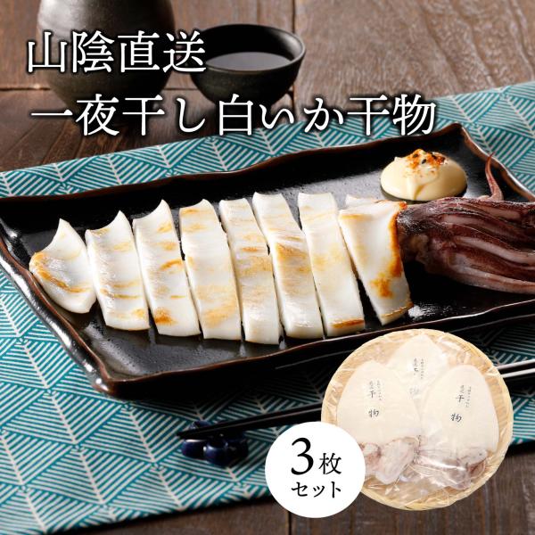 白いか干物 3枚セット 島根県浜田産 白いか ケンサキイカ 3枚セット 山陰直送 贈り物 お歳暮 プレゼント お酒の友 送料無料 ギフト お礼 食品 魚介類