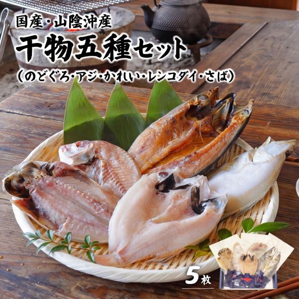 【新商品】干物5種セット 干物セット 開き干し 山陰 国産 韓国産