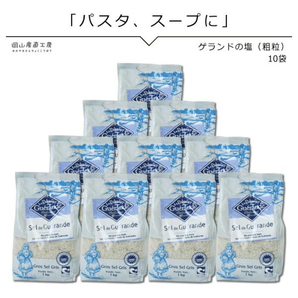 ゲランドの塩 あら塩 1kg 10袋セット セルマランドゲランド アクアメール 塩 海塩 無添加 無着色 フランス有機農業推進団体認定品