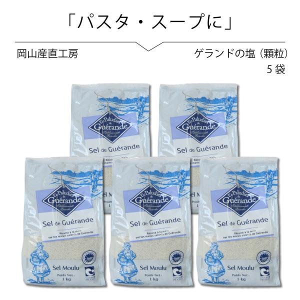 ゲランドの塩　顆粒1kg×5袋 セルマランドゲランド アクアメール 海塩 無添加 無着色